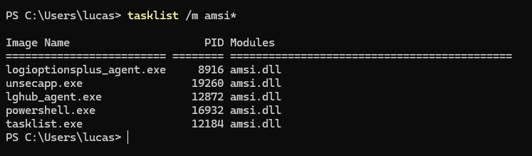tasklist /m amsi output