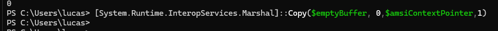 HAMSICONTEXT buffer after corruption (zeroed)