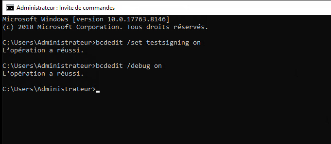 bcdedit — debug mode enabled output