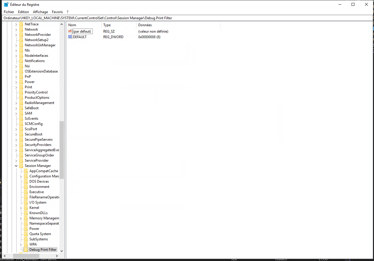 Registry — Debug Print Filter DWORD set to 8