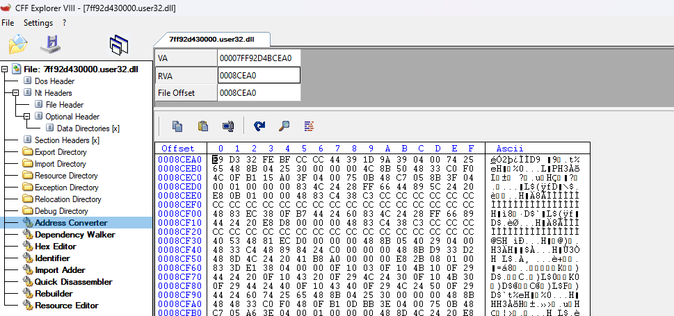 CFF Explorer — RVA showing patched bytes